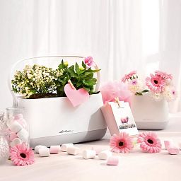 LECHUZA YULA Plant Bag Trough Poly Resin Indoor Self-watering Planter