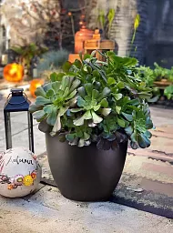IDEALIST Lite Contemporary Light Concrete Egg Planter