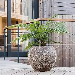 Lava Ceramic Planter | Indoor and Outdoor Plant Pot