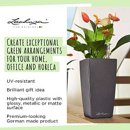 LECHUZA CUBI Square Poly Resin Indoor Self-watering Planter