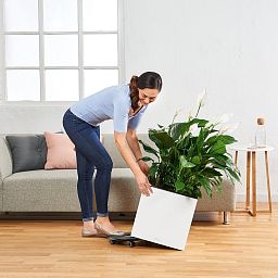 LECHUZA CANTO Low Square Poly Resin Self-watering Planter
