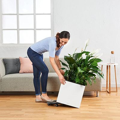 LECHUZA CANTO Low Square Poly Resin Self-watering Planter