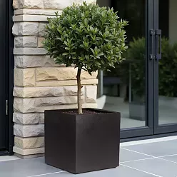 IDEALIST Lite Square Box Contemporary Light Concrete Planter