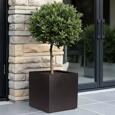 IDEALIST Lite Square Box Contemporary Light Concrete Planter Set