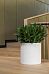 Fibrestone Max Round Planter by Idealist Premium