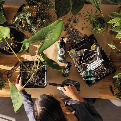 LECHUZA BLACKSTONEPON Pre-fertilized Potting Soil Compost for Indoor Houseplants