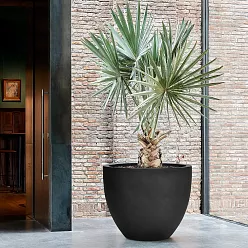 Fibrestone Jesslyn Round Planter by Idealist Premium