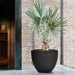 Fibrestone Jesslyn Round Planter by Idealist Premium