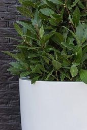 Fibrestone Ben Tall Planter by Idealist Premium