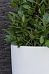 Fibrestone Ben Tall Planter by Idealist Premium