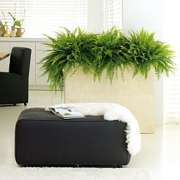 Trough Polystone Planter by Fleur Ami DIVIDE