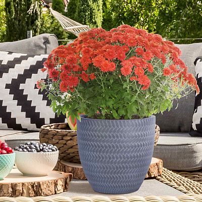 IDEALIST Lite Plaited Style Round Planter Outdoor Plant Pot