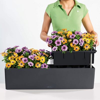 LECHUZA BALCONERA Color Trough Poly Resin Self-watering Planter