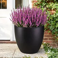 IDEALIST Lite 50cm Large Garden Planter for Trees | Black Washed Light...