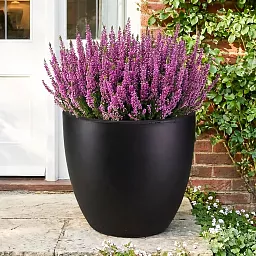 IDEALIST Lite Contemporary Light Concrete Egg Planter