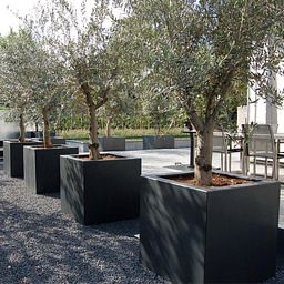 PURE Cube Outdoor Fiberglass Planter