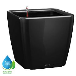 LECHUZA Quadro LS Square Poly Resin Self-watering Planter