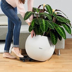 LECHUZA PURO Color Round Poly Resin Self-watering Planter