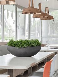 Polystone Bowl Planter | Indoor Plant Pot