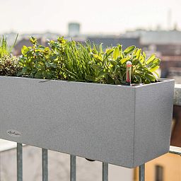 LECHUZA BALCONERA Stone Trough Poly Resin Self-watering Planter