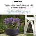 Ribbed Light Concrete Bowl Planter by Idealist Lite