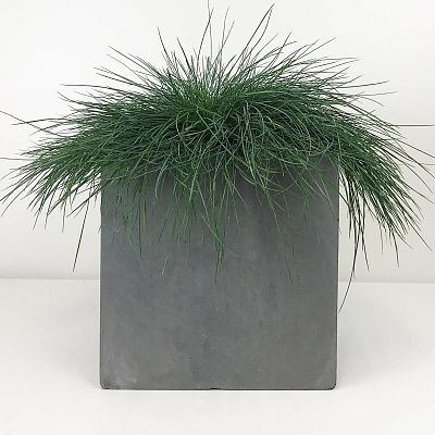 IDEALIST Lite Square Box Contemporary Light Concrete Planter