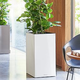 LECHUZA CANTO High Square Tall Poly Resin Self-watering Planter