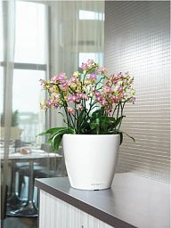 LECHUZA CLASSICO LS Round Poly Resin Self-watering Planter