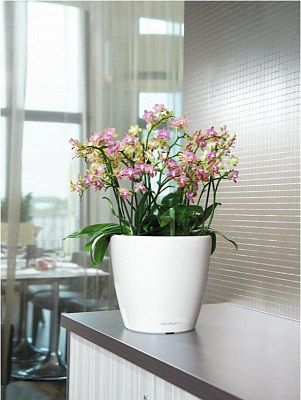 LECHUZA CLASSICO LS Round Poly Resin Self-watering Planter