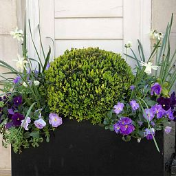IDEALIST Lite Contemporary Light Concrete Trough Planter