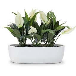 ECONOMY Artificial Grass Plants Sets