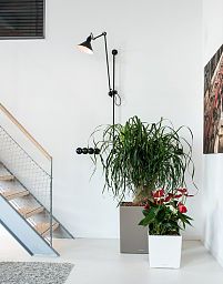 LECHUZA CUBE Square Poly Resin Self-watering Planter