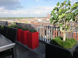 Glossy Outdoor Fiberglass Tall Planter