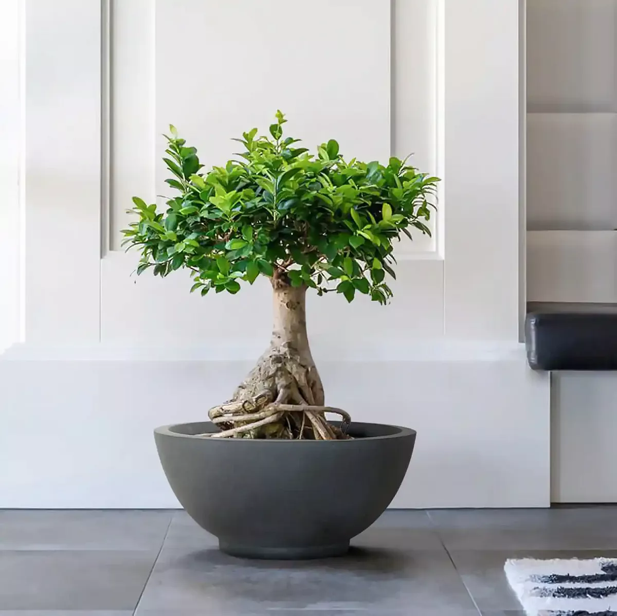 IDEALIST Lite Dish Style Smooth Bowl Outdoor Planter