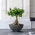 IDEALIST Lite Dish Style Smooth Bowl Outdoor Planter