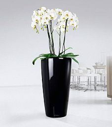 LECHUZA Rondo Round Tall Poly Resin Self-watering Planter
