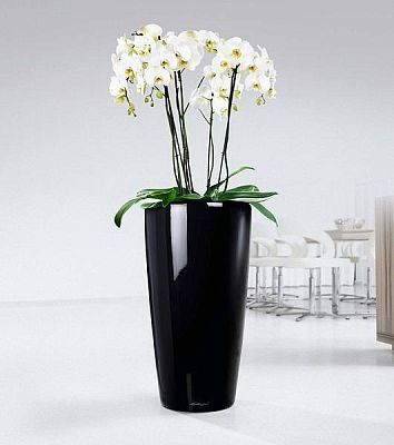 LECHUZA Rondo Round Tall Poly Resin Self-watering Planter
