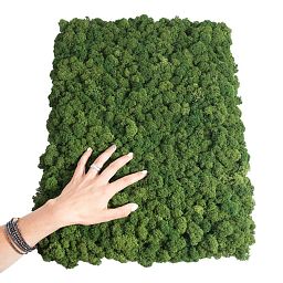 PREMIUM Flat Moss Artificial Moss Plant