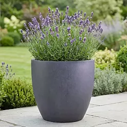 IDEALIST Lite Contemporary Light Concrete Egg Planter