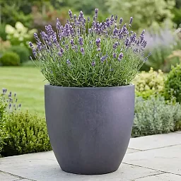 IDEALIST Lite Contemporary Light Concrete Egg Planter