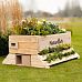 NatureArk 2-in-1 Outdoor Planter and Wildlife House with Topsoil and Reservoir Clay by Bio Scapes