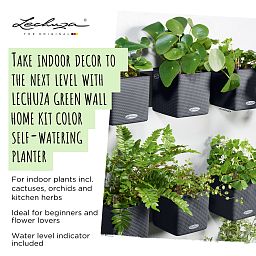 LECHUZA Green Wall Home Kit Color Indoor Self-watering Planter