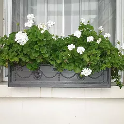 Adam Window Flower Box Fiberglass Trough Faux Lead Planter Pot In/Out