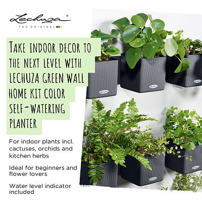 LECHUZA Green Wall Home Kit Color Indoor Self-watering Planter