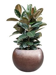 Metallic Couple Round Indoor Planter
