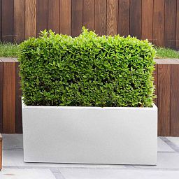 IDEALIST Lite Contemporary Light Concrete High Trough Planter