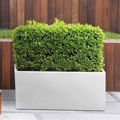 IDEALIST Lite Contemporary Light Concrete High Trough Planter