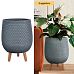 Honeycomb Style Egg Planter on Legs, Round Pot Plant Stand Indoor by Idealist Lite