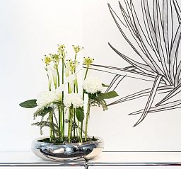 LUCIDO Stainless Steel Bowl Planter