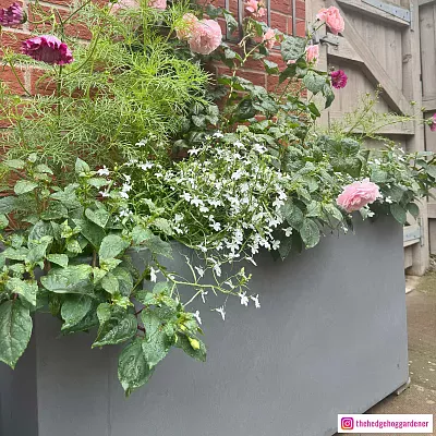 IDEALIST Lite Contemporary Light Concrete High Trough Planter